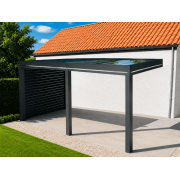 Carport Adossé Toiture en Verre Feuilleté
