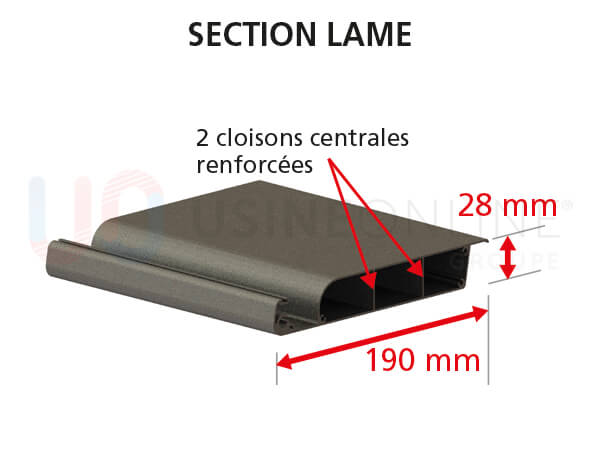 Section%20Lame.jpg