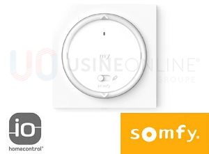 SOMFY RS 100 IO (Largeur Max 2800 mm) "Silencieux et Ralentissement Fin de Course" (Télécommande Murale Amy IO Fournie)