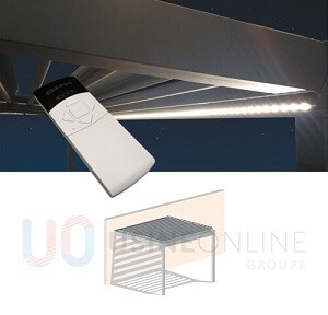 Led Radio Coffre Avant 1 Module (Télécommande Groupée Fournie) 