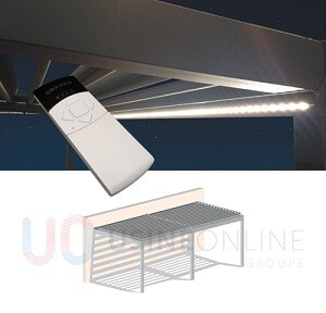 Led Radio Coffre Avant 2 Modules (Télécommande Groupée Fournie) 