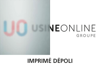 Vitrage Opaque Sablé Dépoli