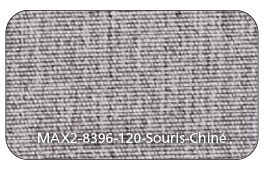 max2-8396-120-souris-chiné