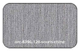 orc-8396-120-souris-chine