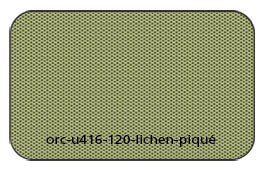 orc-u416-120-lichen-pique