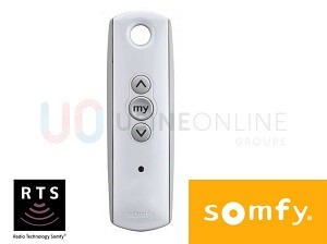 Motorisation SOMFY Radio RTS (Télécommande Individuelle Situo 1 canal fournie) 