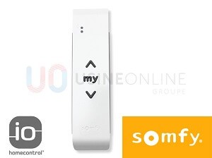 Motorisation SOMFY IO (Télécommande Individuelle Situo 1 canal fournie) 