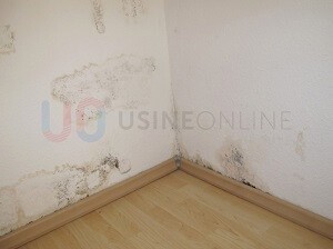 Murs & Plafonds Tachés, Auréoles d'Humidité "réparées", Suie (Préconisation 2 Couches sur Support Sec, Sain et Nettoyé)