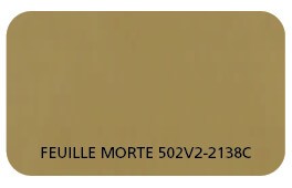 Coloris Toile Feuille Morte 502V2-2138C