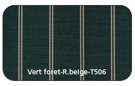 Rayée Vert Forêt Beige T506