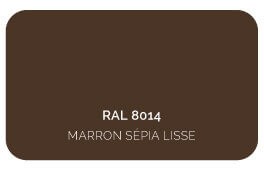 Marron Sépia 8014 Finition Lisse