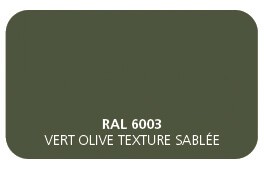 Vert Olive 6003 Finition Structuré Sablé (Cossu, Robuste et Résistant aux Micro Rayures) 
