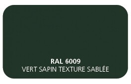 Vert Sapin 6009 Finition Structuré Sablé (Cossu, Robuste et Résistant aux Micro Rayures) 