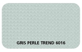 Gris Perle Trend 6016 (Face Texturée en Dessous)