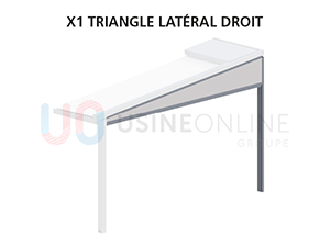 Avec x1 Structure Latérale Complète Côté Droit (Vue de Face Ext) - Coloris Structure + Remplissage Toile Idem Pergola 