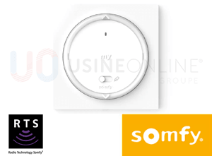Motorisation Somfy Altus 50 RTS R3 Radio (Télécommande Murale Amy 1 Canal MVIO-AMY 1C - 20m de Portée)