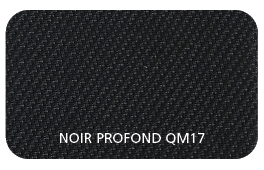 Coloris Toile Noir Profond  QM17