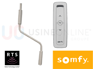 SOMFY RTS (Télécommande Situo 1 RTS Pure 2 Fournie) avec Manivelle de Secours (Côté Moteur) 