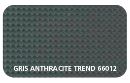 Gris Anthracite Trend 66012 (Face Texturée en Dessous)