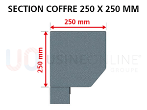 Section Coffre 250 x 250 mm