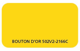 Coloris Toile Bouton d'or 502V2-2166C