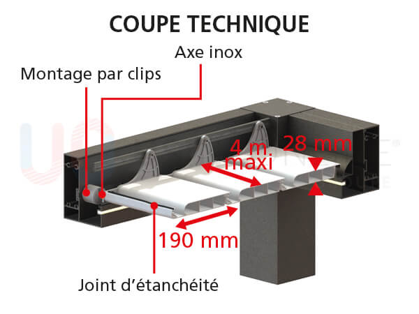 Coupe%20technique.jpg