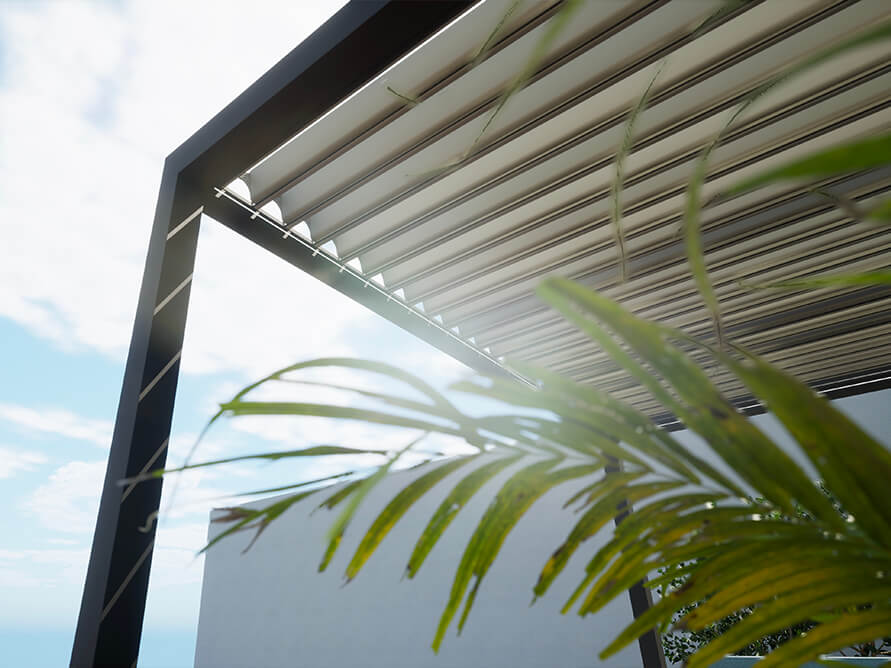 toit pergola